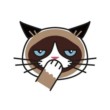 Shy Grumpy cat. Meme cat isolated whitebackground Stock Illustration