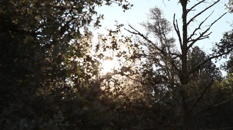 The Shy Sun Comes To Shine Stock Footage 36834374