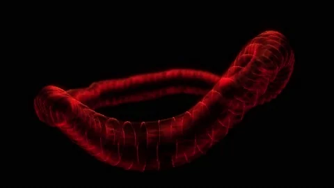 Si-fi red torus with particles and lines with glitch effect. Stock-Footage 207748473