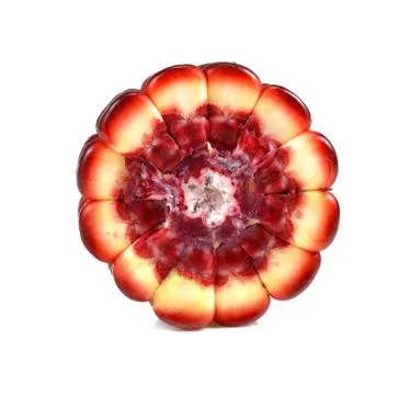 Siam Ruby red corn on white Stock Photos