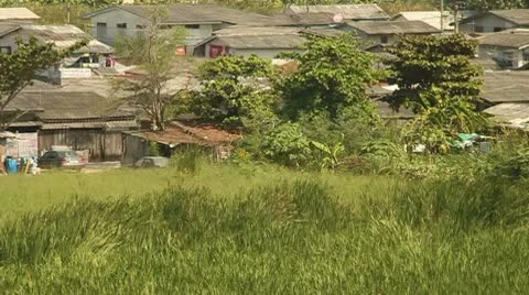 Siam Slum 스톡 동영상 8984884