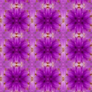 Siam Tulip seamless pattern background. Stock Photos