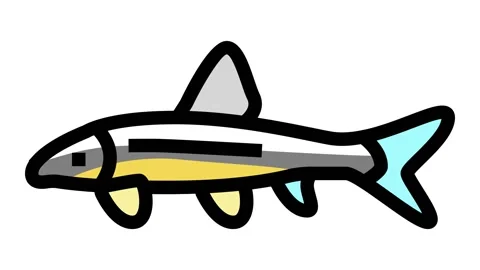 Siamese algae eater color icon animation 動画素材 225029536