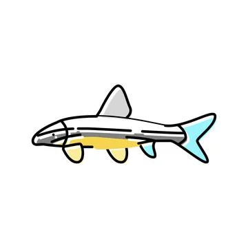 Siamese algae eater color icon vector illustration 스톡 일러스트