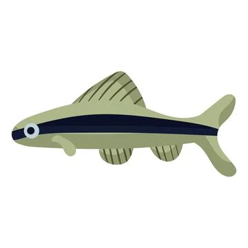 Siamese algae eater fish aquarium water animal nature and vector underwater a Stock Illustration
