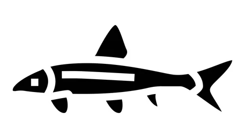 Siamese algae eater glyph icon animation 動画素材 222846463