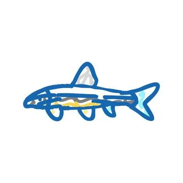 Siamese algae eater icon doodle illustration Stock Illustration