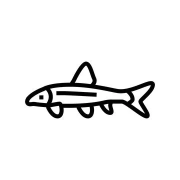 Siamese algae eater line icon vector illustration Stock Illustration