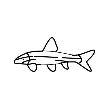 Siamese algae eater line icon vector illustration Stock-Illustration