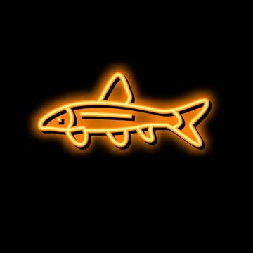 Siamese algae eater neon glow icon illustration Stock Illustration