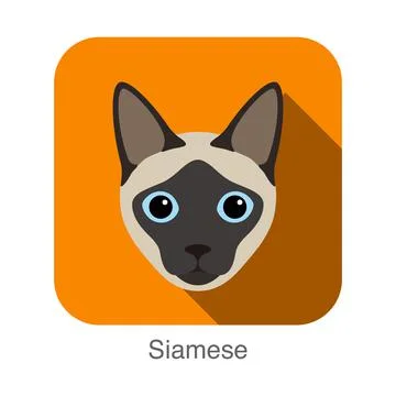 Siamese, Cat breed face cartoon flat icon design Stock Illustration