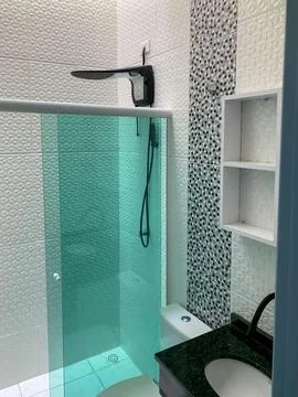 Siamese cat closeup Stock Photos