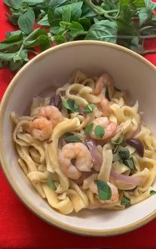 Siamese cat closeup Stock Photos