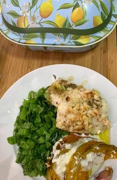 Siamese cat closeup Stock Photos