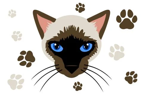 Siamese cat face Stock Illustration