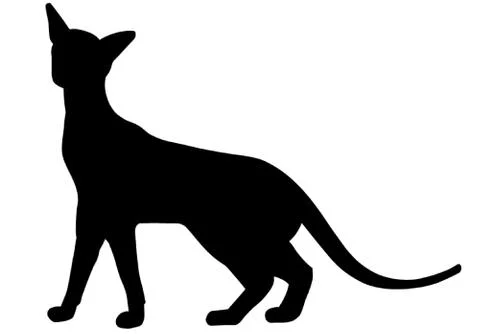 Siamese Cat Stock Illustration