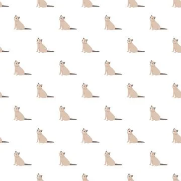 Siamese cat kitten pattern creating seamless background 스톡 일러스트