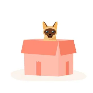 Siamese cat sits in box. Cute indoor pet plays in paper case. Hiding and resting Stock Illustration