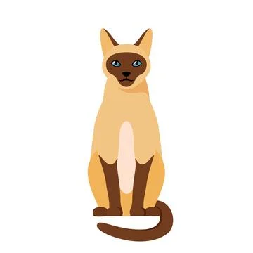Siamese cat sitting in profile. Cute thai domestic cat. Illustration in flat Stock Illustration