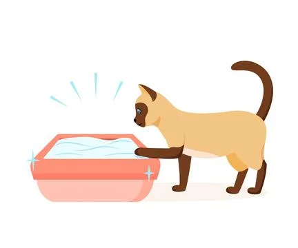 Siamese cat using clean litter box. Right way to maintain cat toilet. Pet toilet Stock Illustration