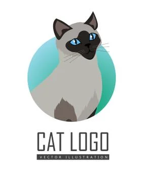 Siamese cat Vector Flat Design Illustration 스톡 일러스트