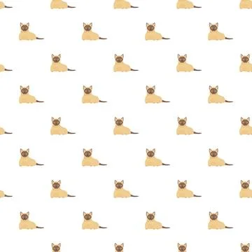 Siamese cat vector seamless pattern background design イラスト素材
