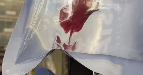 Siamese fight fish Stock Footage 195986567