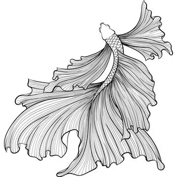 Siamese fighter fish top view line art Illustrazione stock