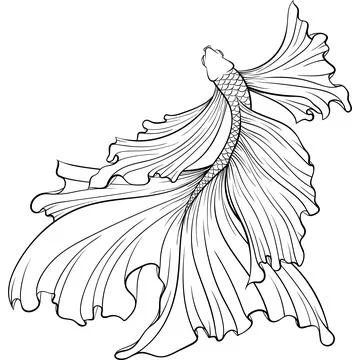 Siamese fighter fish top view line art Stock Illustration