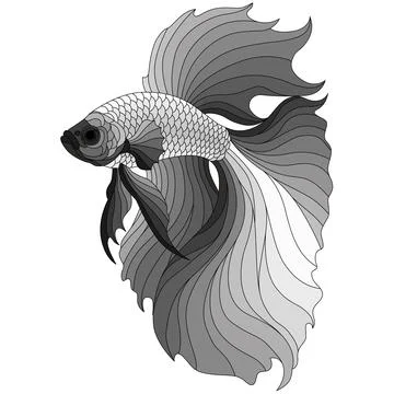 Siamese Fighting Fish Black White Stained Glass Design Stock Illustration