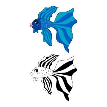 Siamese Fighting Fish. Vector Illustration Stock Illustration