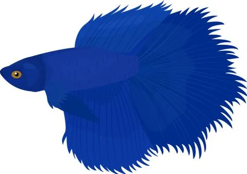 Siamese fish, illustration siamese fish isolated Stock Illustration