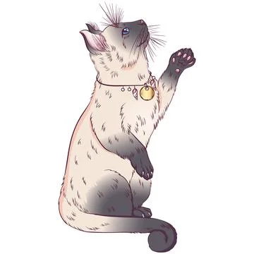 Siamese or Thai breed cat Illustrazione stock