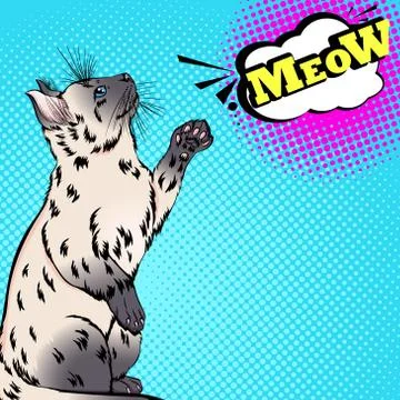 Siamese or Thai cat in pop art style Stock Illustration