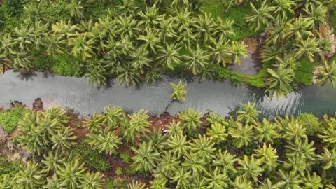 Siargao Stock Footage 141594569