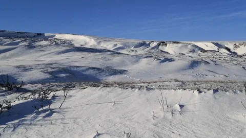 Siberia Bucovineanax2 Stock Footage 122069182