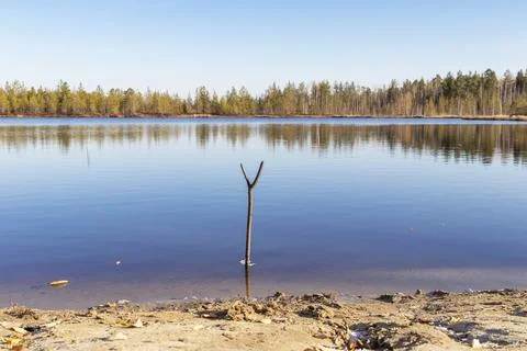 Siberia. Forest Lake. Stock Photos