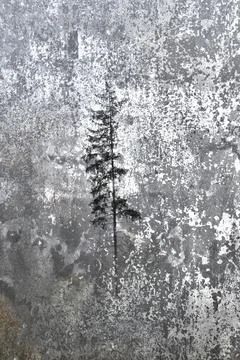 Siberia Stock Photos