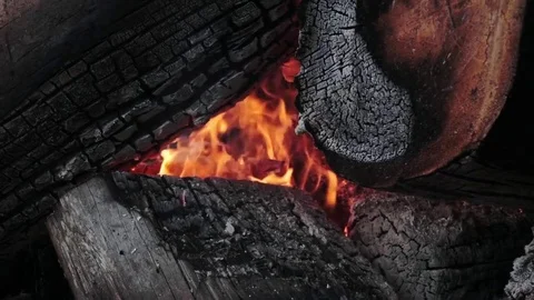 Siberian campfire Stock Footage 81663576