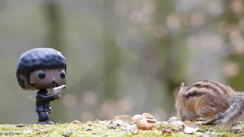 Siberian chipmunk eating next to pop pulp fiction figurine on mossy trunk Stock Footage 276795582