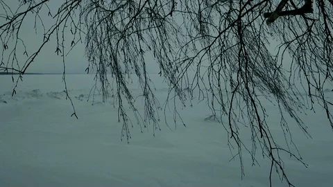 Siberian expanses 스톡 동영상 103245355