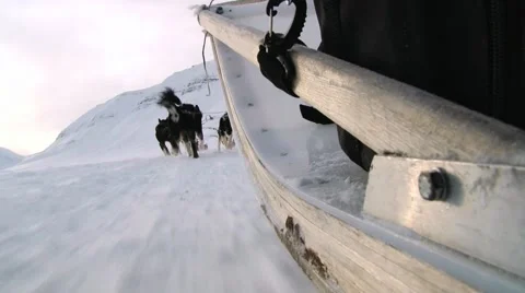 Siberian husky dogs pull sled on the snow in Longyearbyen, Norway. Stock Footage 60703699