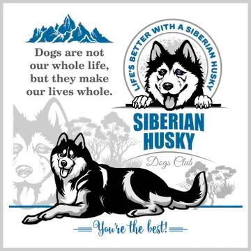 Siberian Husky - vector set for t-shirt, logo and template badges on light Stock Illustration
