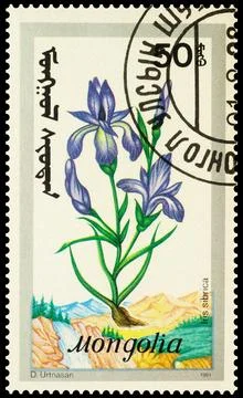 Siberian iris on postage stamp Stock Photos