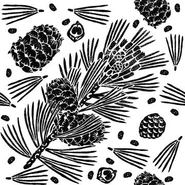 Siberian pine seamless pattern isolated on white, branch, cones, seeds Illustrazione stock