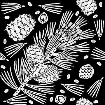 Siberian pine seamless pattern isolated on black, branch, cones, seeds Illustrazione stock