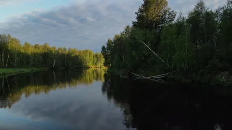 Siberian river and trees leaning over the water Stock Footage 302109965