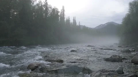 Siberian river with rapids Video stock 168776313