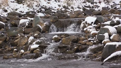 Siberian small river Video stock 70702315