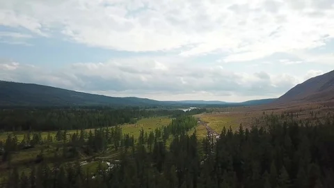 Siberian taiga Stock Footage 94920120